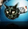 Cat-Reifencover-Airbrush