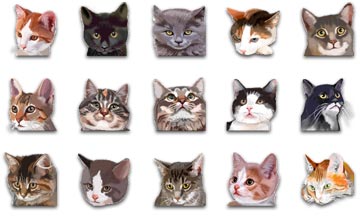 Katzen-Icons.jpg