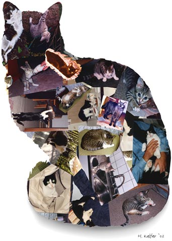 Katzencollage.jpg